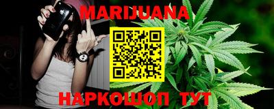 меф Гатчина
