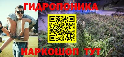 меф Гатчина